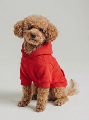 Doggie džemperis